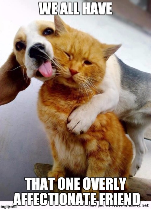 Go home, Odie! You're drunk! | WE ALL HAVE; THAT ONE OVERLY AFFECTIONATE FRIEND | image tagged in puppy licks kitty,memes,friendship | made w/ Imgflip meme maker