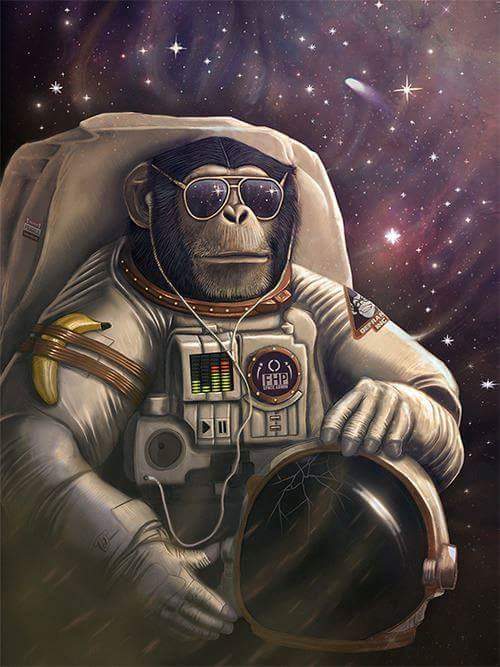 Spaceship Monkey Blank Meme Template