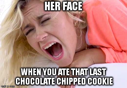 Screaming Girlfriend | HER FACE; WHEN YOU ATE THAT LAST CHOCOLATE CHIPPED COOKIE | image tagged in screaming girlfriend,memes,funny,cookie,babe | made w/ Imgflip meme maker