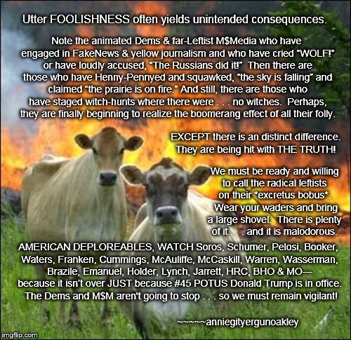 Evil Bovine Folly  | Note the animated Dems & far-Leftist M$Media who have engaged in FakeNews & yellow journalism and who have cried “WOLF!” or have loudly accused, “The Russians did it!”  Then there are those who have Henny-Pennyed and squawked, “the sky is falling” and claimed “the prairie is on fire.” And still, there are those who have staged witch-hunts where there were . . . no witches.  Perhaps, they are finally beginning to realize the boomerang effect of all their folly. Utter FOOLISHNESS often yields unintended consequences. EXCEPT there is an distinct difference.  They are being hit with THE TRUTH! We must be ready and willing to call the radical leftists on their *excretus bobus*.  Wear your waders and bring a large shovel.  There is plenty of it . . . and it is malodorous. AMERICAN DEPLOREABLES, WATCH Soros, Schumer, Pelosi, Booker, Waters, Franken, Cummings, McAuliffe, McCaskill, Warren, Wasserman, Brazile, Emanuel, Holder, Lynch, Jarrett, HRC, BHO & MO--- because it isn’t over JUST because #45 POTUS Donald Trump is in office.  The Dems and M$M aren't going to stop . . . so we must remain vigilant! ~~~~~anniegityergunoakley | image tagged in memes,consequences,you need waders and a shovel,dems and msmedia | made w/ Imgflip meme maker