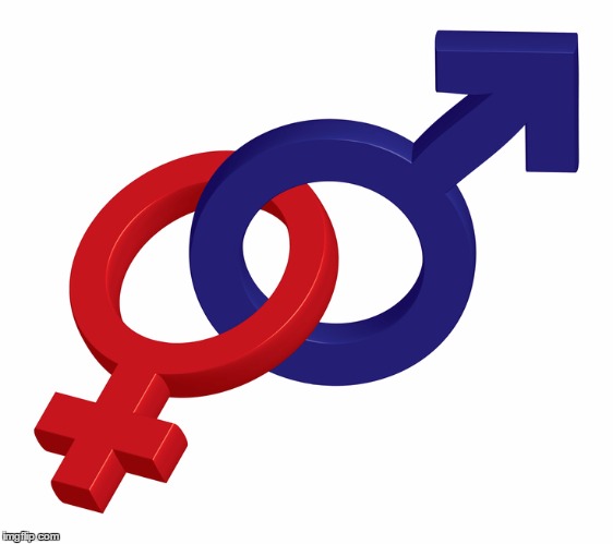 gender of names
 | image tagged in first name gender database,unisex names,name gender guesser,name gender check | made w/ Imgflip meme maker