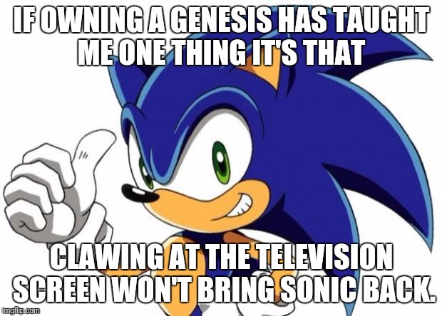 Sonic The Hedgehog Approves |  IF OWNING A GENESIS HAS TAUGHT ME ONE THING IT'S THAT; CLAWING AT THE TELEVISION SCREEN WON'T BRING SONIC BACK. | image tagged in sonic the hedgehog approves | made w/ Imgflip meme maker