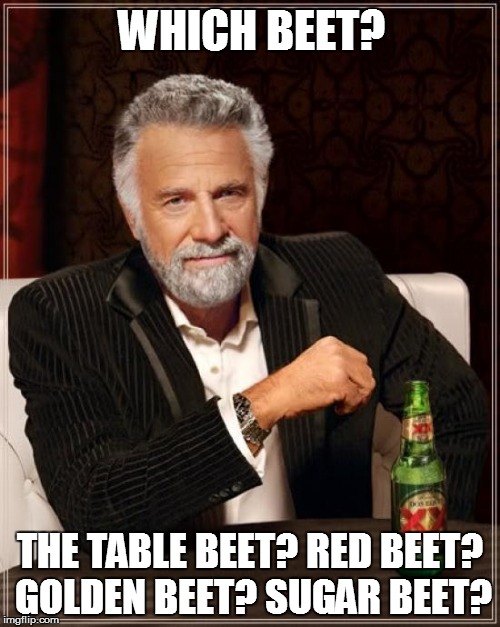 The Most Interesting Man In The World Meme | WHICH BEET? THE TABLE BEET? RED BEET? GOLDEN BEET? SUGAR BEET? | image tagged in memes,the most interesting man in the world | made w/ Imgflip meme maker