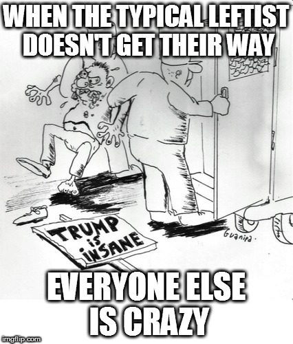 WHEN THE TYPICAL LEFTIST DOESN'T GET THEIR WAY; EVERYONE ELSE IS CRAZY | image tagged in trump leftist presideny democratic process | made w/ Imgflip meme maker