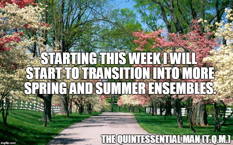 STARTING THIS WEEK I WILL START TO TRANSITION INTO MORE SPRING AND SUMMER ENSEMBLES. THE QUINTESSENTIAL MAN (T.Q.M.) | made w/ Imgflip meme maker