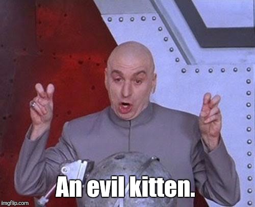 Dr Evil Laser Meme | An evil kitten. | image tagged in memes,dr evil laser | made w/ Imgflip meme maker