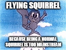 Don't want that | FLYING SQUIRREL; BECAUSE BEING A NORMAL SQUIRREL IS TOO MAINSTREAM | image tagged in rocky,squirrel,funny memes | made w/ Imgflip meme maker