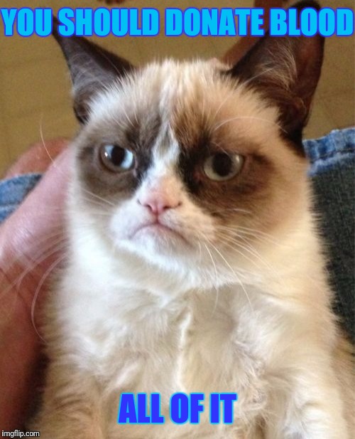 Grumpy Cat | YOU SHOULD DONATE BLOOD; ALL OF IT | image tagged in memes,grumpy cat | made w/ Imgflip meme maker