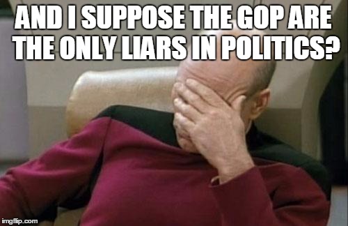 Captain Picard Facepalm Meme | AND I SUPPOSE THE GOP ARE THE ONLY LIARS IN POLITICS? | image tagged in memes,captain picard facepalm | made w/ Imgflip meme maker