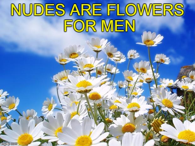 If you want your man to do things for you send him flowers. |  NUDES ARE FLOWERS FOR MEN | image tagged in spring daisy flowers | made w/ Imgflip meme maker