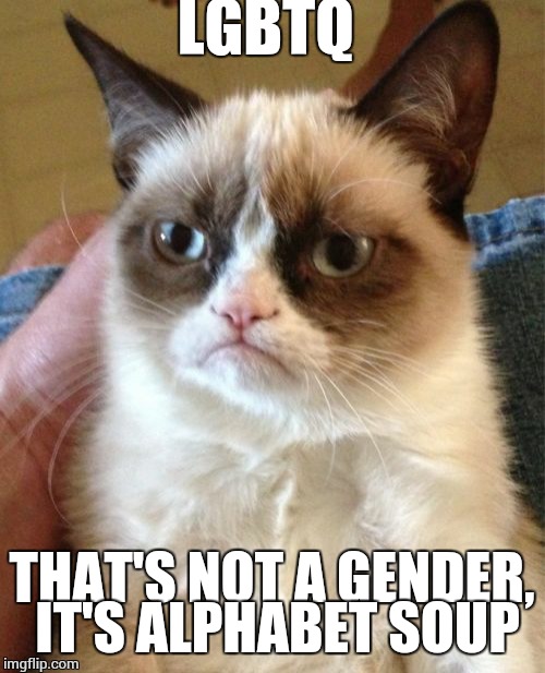 Grumpy Cat | LGBTQ; THAT'S NOT A GENDER, IT'S ALPHABET SOUP | image tagged in memes,grumpy cat | made w/ Imgflip meme maker