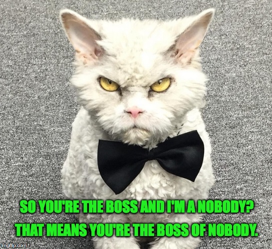 Adaptation of An Old "Honeymooners" line (courtesy of "Alice") | SO YOU'RE THE BOSS AND I'M A NOBODY? THAT MEANS YOU'RE THE BOSS OF NOBODY. | image tagged in retort to ralph | made w/ Imgflip meme maker