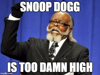 Too Damn High | SNOOP DOGG; IS TOO DAMN HIGH | image tagged in memes,too damn high | made w/ Imgflip meme maker