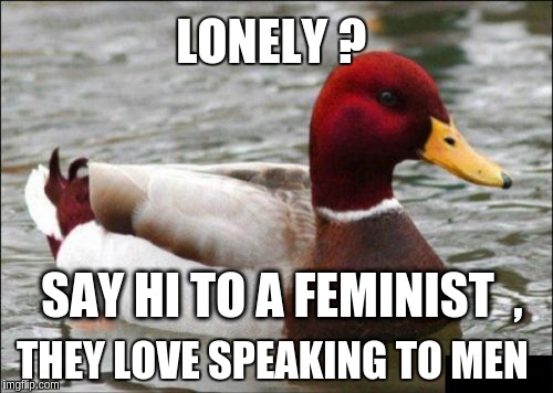 Malicious Advice Mallard | LONELY ? SAY HI TO A FEMINIST  , THEY LOVE SPEAKING TO MEN | image tagged in memes,malicious advice mallard | made w/ Imgflip meme maker