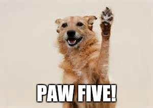 Dog paw | PAW FIVE! | image tagged in dog paw | made w/ Imgflip meme maker