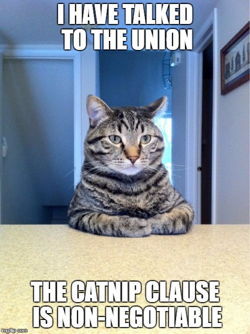 Also, the anti-dog policy | I HAVE TALKED TO THE UNION; THE CATNIP CLAUSE IS NON-NEGOTIABLE | image tagged in memes,take a seat cat,union | made w/ Imgflip meme maker