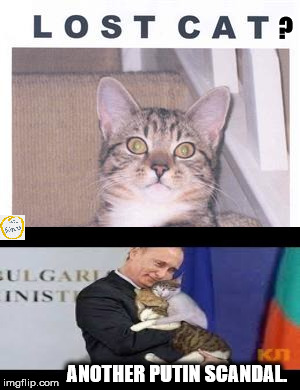 Another Putin scandal | ? ANOTHER PUTIN SCANDAL. | image tagged in putin,hacking,cat,meme | made w/ Imgflip meme maker