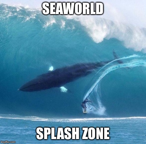 Incoming message alert | SEAWORLD; SPLASH ZONE | image tagged in seaworld,warning | made w/ Imgflip meme maker