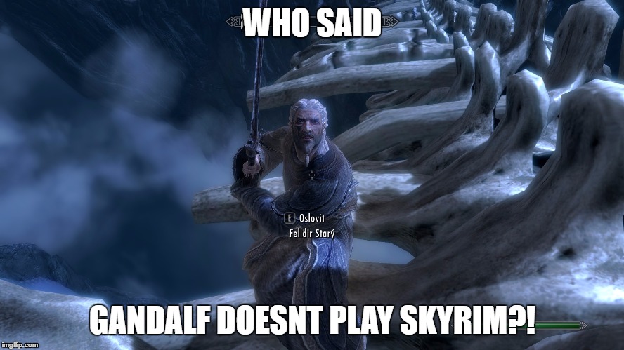 Gandalf is in Skyrim | WHO SAID; GANDALF DOESNT PLAY SKYRIM?! | image tagged in video games,lord of the rings,skyrim | made w/ Imgflip meme maker