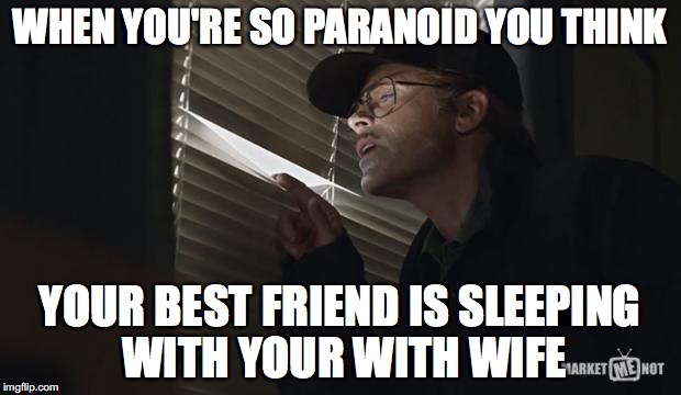 paranoid rob lowe | WHEN YOU'RE SO PARANOID YOU THINK; YOUR BEST FRIEND IS SLEEPING WITH YOUR WITH WIFE | image tagged in paranoid rob lowe | made w/ Imgflip meme maker