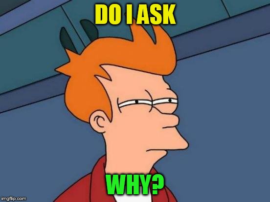 Futurama Fry Meme | DO I ASK WHY? | image tagged in memes,futurama fry | made w/ Imgflip meme maker