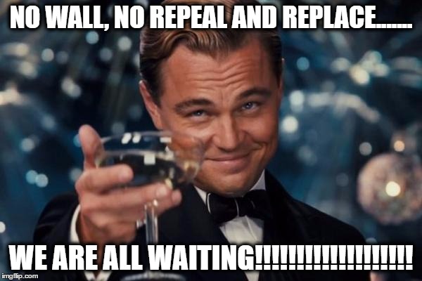 Leonardo Dicaprio Cheers Meme | NO WALL, NO REPEAL AND REPLACE....... WE ARE ALL WAITING!!!!!!!!!!!!!!!!!!! | image tagged in memes,leonardo dicaprio cheers | made w/ Imgflip meme maker