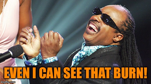 Stevie Wonder Laughing | EVEN I CAN SEE THAT BURN! | image tagged in stevie wonder laughing | made w/ Imgflip meme maker