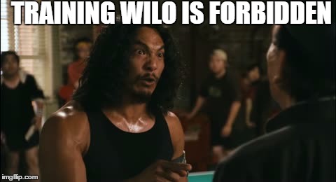 wilo | TRAINING WILO IS FORBIDDEN | image tagged in wilo | made w/ Imgflip meme maker