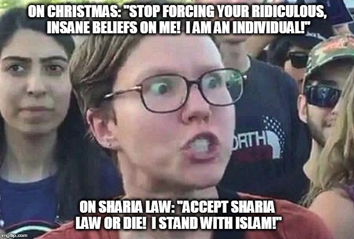 Triggered Liberal | ON CHRISTMAS: "STOP FORCING YOUR RIDICULOUS, INSANE BELIEFS ON ME!  I AM AN INDIVIDUAL!"; ON SHARIA LAW: "ACCEPT SHARIA LAW OR DIE!  I STAND WITH ISLAM!" | image tagged in triggered liberal | made w/ Imgflip meme maker