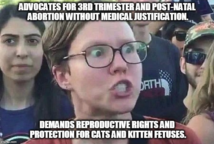 Triggered Liberal | ADVOCATES FOR 3RD TRIMESTER AND POST-NATAL ABORTION WITHOUT MEDICAL JUSTIFICATION. DEMANDS REPRODUCTIVE RIGHTS AND PROTECTION FOR CATS AND KITTEN FETUSES. | image tagged in triggered liberal | made w/ Imgflip meme maker