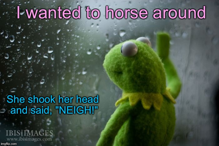 kermit window | I wanted to horse around; She shook her head and said, "NEIGH!" | image tagged in kermit window,memes | made w/ Imgflip meme maker