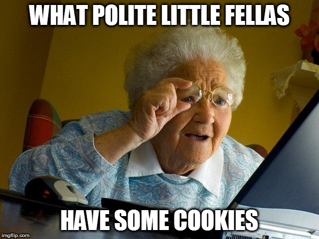 Grandma Finds The Internet Meme | WHAT POLITE LITTLE FELLAS HAVE SOME COOKIES | image tagged in memes,grandma finds the internet | made w/ Imgflip meme maker