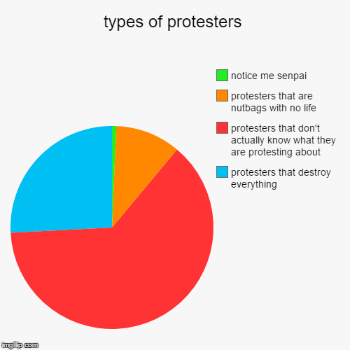 types of protesters | protesters that destroy everything, protesters that don't actually know what they are protesting about, protesters tha | image tagged in funny,pie charts | made w/ Imgflip chart maker