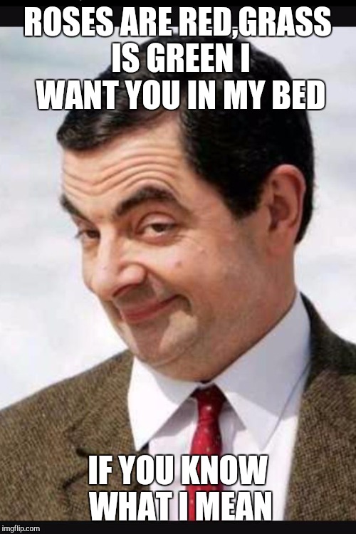 Mr.bean | ROSES ARE RED,GRASS IS GREEN I WANT YOU IN MY BED; IF YOU KNOW WHAT I MEAN | image tagged in mrbean | made w/ Imgflip meme maker