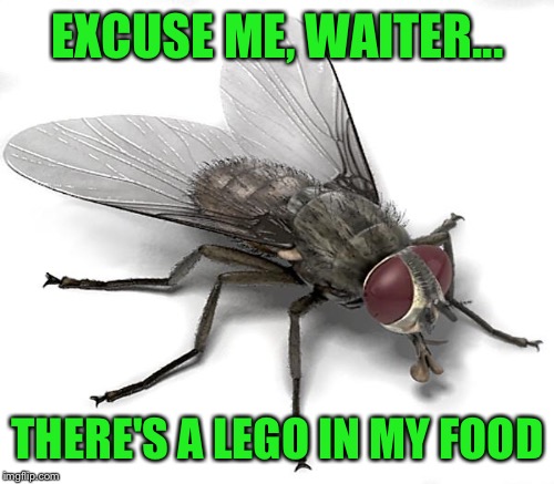 EXCUSE ME, WAITER... THERE'S A LEGO IN MY FOOD | made w/ Imgflip meme maker