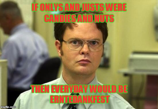 Dwight Schrute Meme | IF ONLYS AND JUSTS WERE; CANDIES AND NUTS; THEN EVERYDAY WOULD BE; ERNTEDANKFEST | image tagged in memes,dwight schrute | made w/ Imgflip meme maker