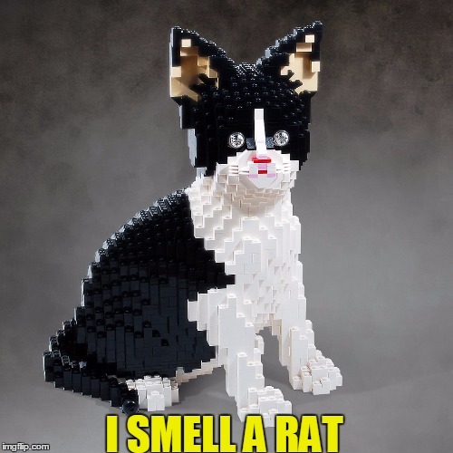 I SMELL A RAT | made w/ Imgflip meme maker