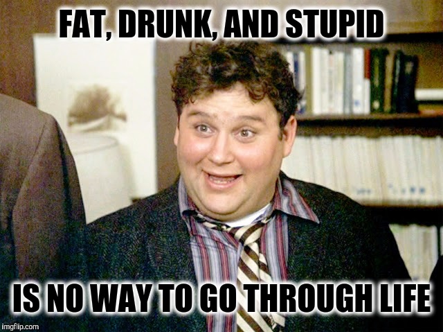 FAT, DRUNK, AND STUPID IS NO WAY TO GO THROUGH LIFE | made w/ Imgflip meme maker