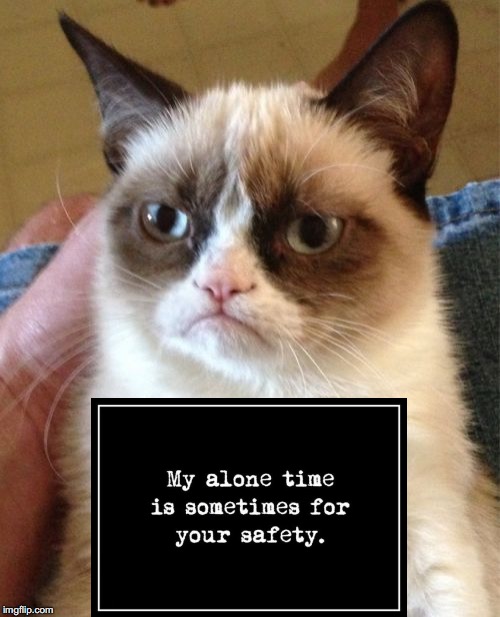 Solitude | image tagged in memes,grumpy cat | made w/ Imgflip meme maker