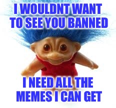 Troll | I WOULDNT WANT TO SEE YOU BANNED I NEED ALL THE MEMES I CAN GET | image tagged in troll | made w/ Imgflip meme maker