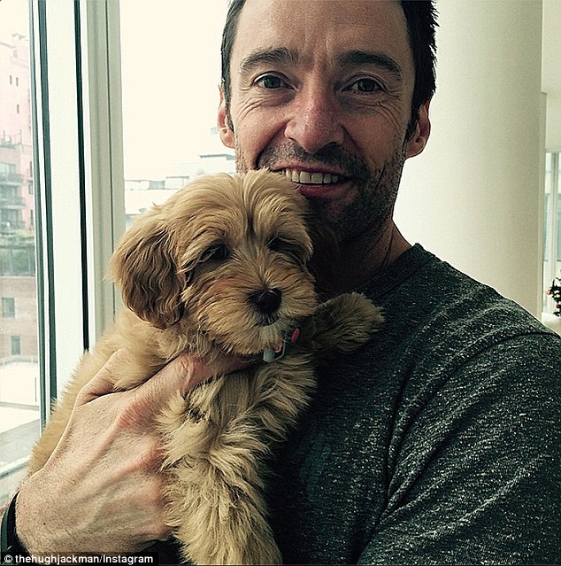 High Quality Hugh Jackman with a puppy Blank Meme Template