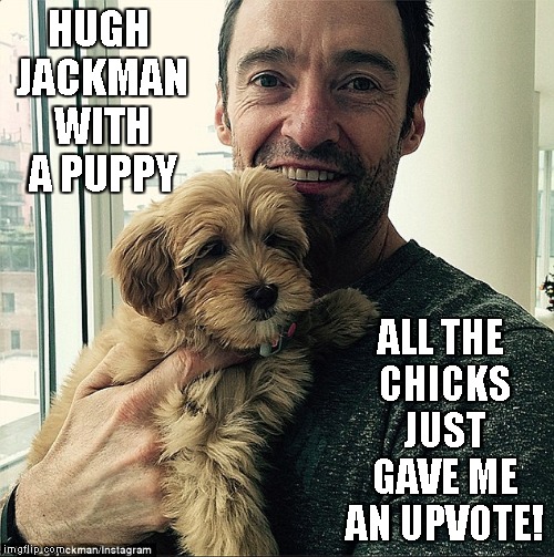 Now all the broads love me... (Don't hurt me, ladies! I'm being chauvinistic on purpose as a joke!) | HUGH JACKMAN WITH A PUPPY; ALL THE CHICKS JUST GAVE ME AN UPVOTE! | image tagged in hugh jackman with a puppy,memes,chick magnet,chauvinism,feminism,say it ain't so | made w/ Imgflip meme maker