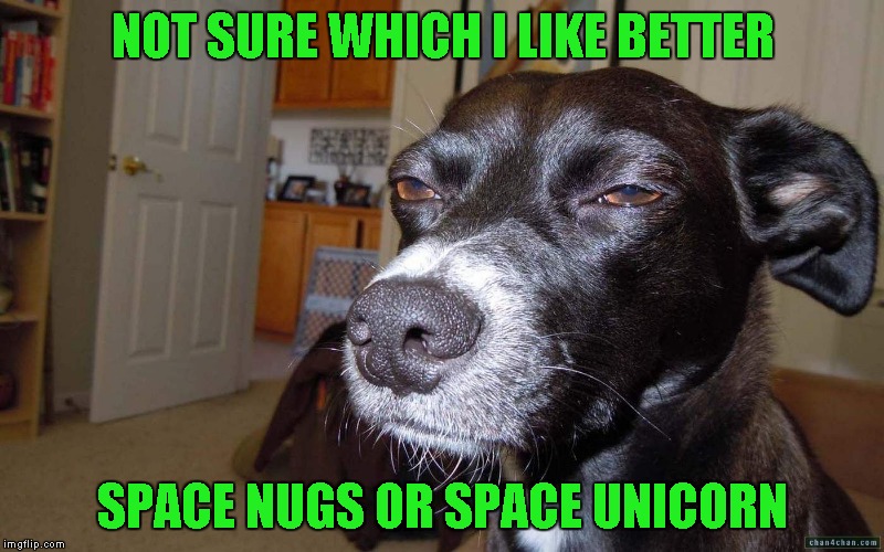NOT SURE WHICH I LIKE BETTER SPACE NUGS OR SPACE UNICORN | made w/ Imgflip meme maker