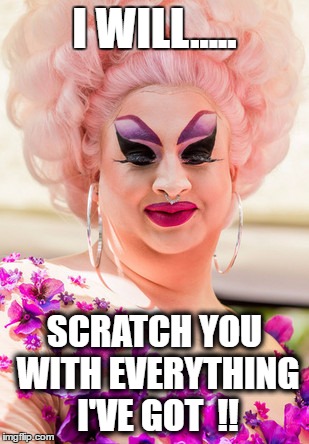 HISSSSSSSSS | I WILL..... SCRATCH YOU WITH EVERYTHING I'VE GOT  !! | image tagged in drag queen | made w/ Imgflip meme maker