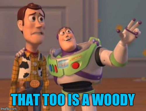 XXX everywhere | THAT TOO IS A WOODY | image tagged in memes,x x everywhere | made w/ Imgflip meme maker