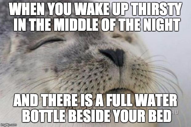Happy Seal | WHEN YOU WAKE UP THIRSTY IN THE MIDDLE OF THE NIGHT; AND THERE IS A FULL WATER BOTTLE BESIDE YOUR BED | image tagged in happy seal | made w/ Imgflip meme maker