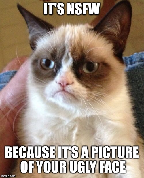 Grumpy Cat Meme | IT'S NSFW BECAUSE IT'S A PICTURE OF YOUR UGLY FACE | image tagged in memes,grumpy cat | made w/ Imgflip meme maker