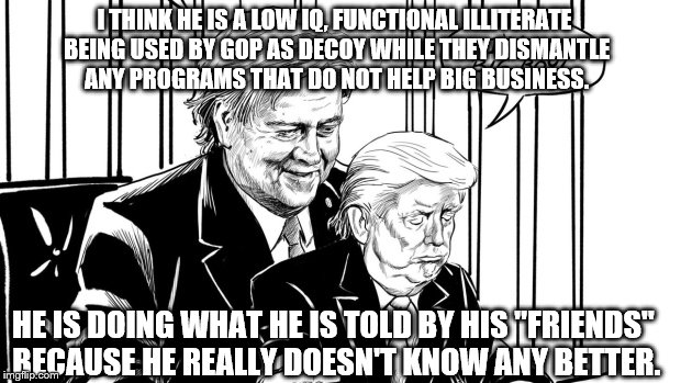 Low IQ | I THINK HE IS A LOW IQ, FUNCTIONAL ILLITERATE BEING USED BY GOP AS DECOY WHILE THEY DISMANTLE ANY PROGRAMS THAT DO NOT HELP BIG BUSINESS. HE IS DOING WHAT HE IS TOLD BY HIS "FRIENDS" BECAUSE HE REALLY DOESN'T KNOW ANY BETTER. | image tagged in anti trump | made w/ Imgflip meme maker