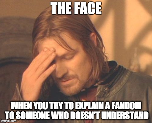 Frustrated Boromir | THE FACE; WHEN YOU TRY TO EXPLAIN A FANDOM TO SOMEONE WHO DOESN'T UNDERSTAND | image tagged in memes,frustrated boromir | made w/ Imgflip meme maker