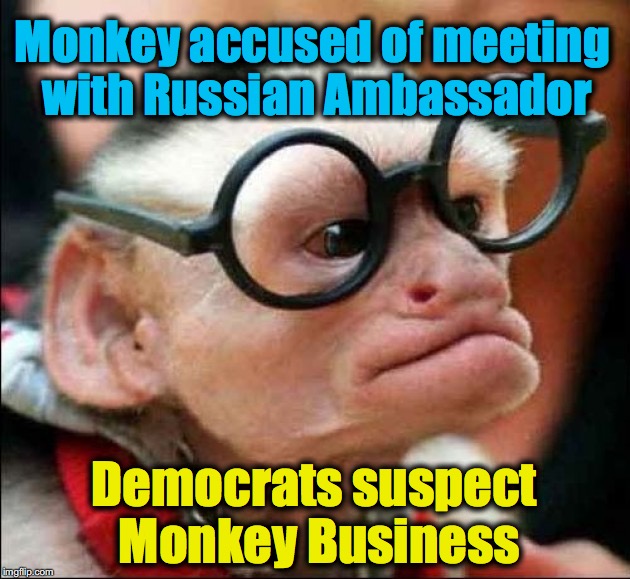 Monkey accused of meeting with Russian Ambassador; Democrats suspect Monkey Business | image tagged in monkey,monkey business,crying democrats | made w/ Imgflip meme maker